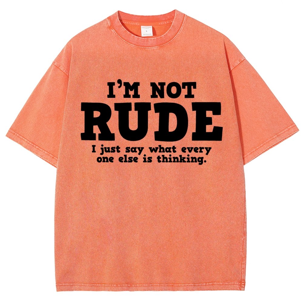 I'm not Rude I Just Have The Balls to Say What Everyone Else is Thinking Vintage Distressed T-shirt