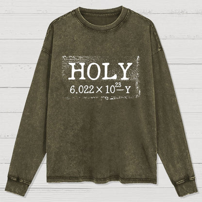 Holy Moley Avogadro Mole  Funny Washed Long Sleeve Tee