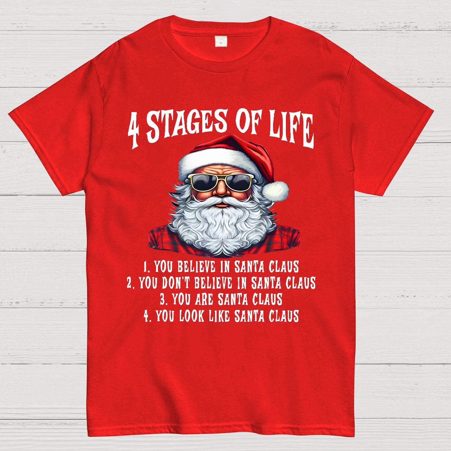 4 Stages Of Life Funny Christmas Geek T-Shirt
