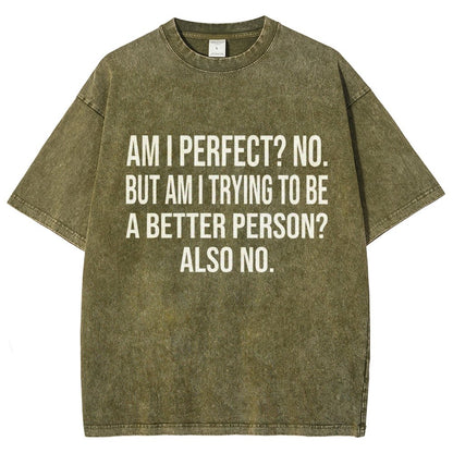 Am I Perfect No But Am I Trying To Be A Better Person Also No Vintage Distressed T-shirt