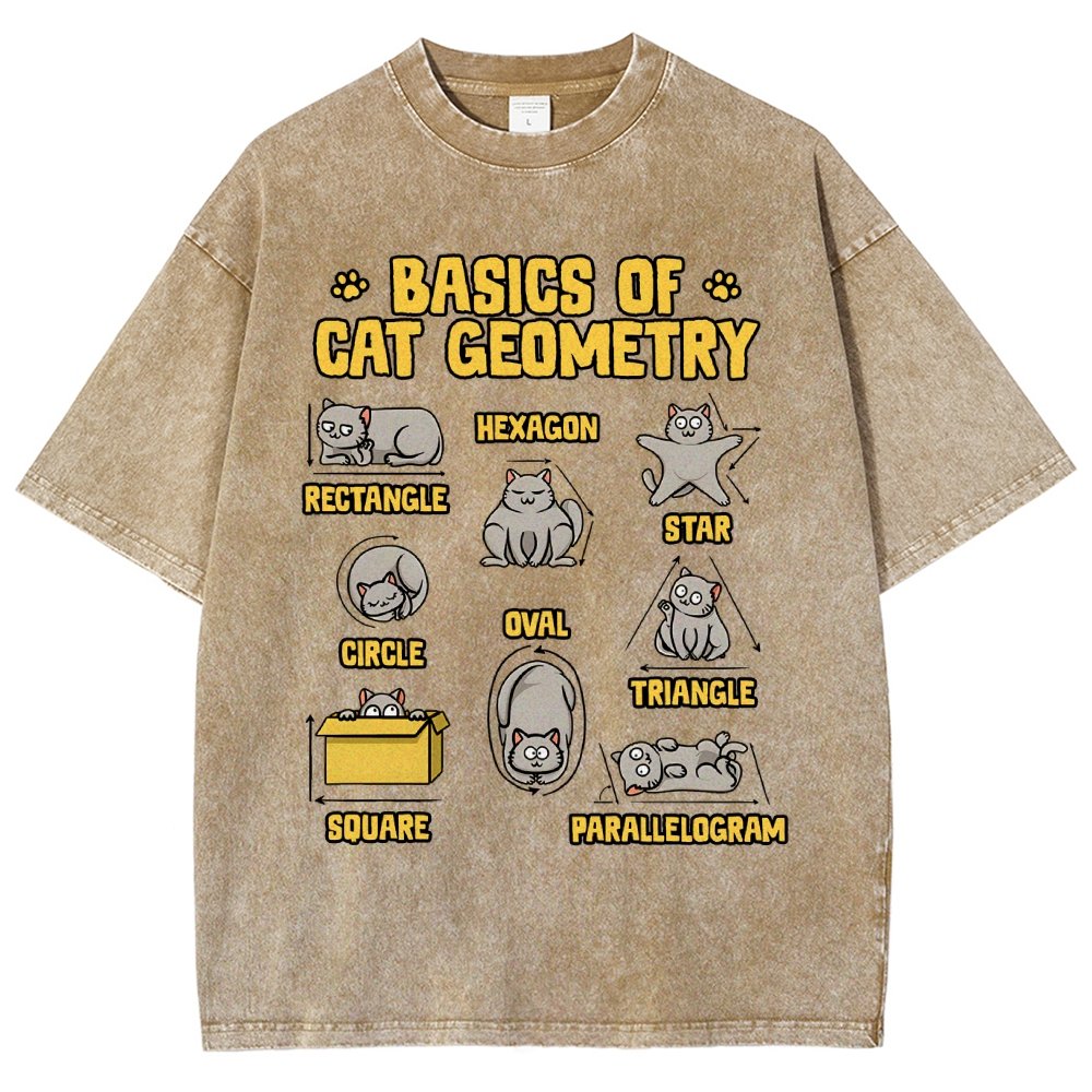 Basics of Cat Geometry Vintage Distressed T-shirt