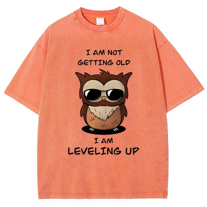 Leveling Up Vintage Distressed T-shirt