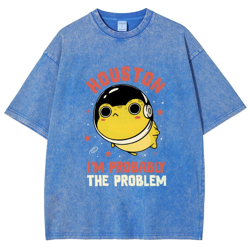 Houston Im Probably The Problem Vintage Distressed T-shirt