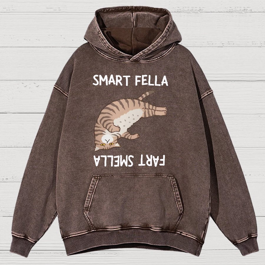 Smart Fella Fart Smella  Funny Cat Pun Vintage Distressed Hoodie