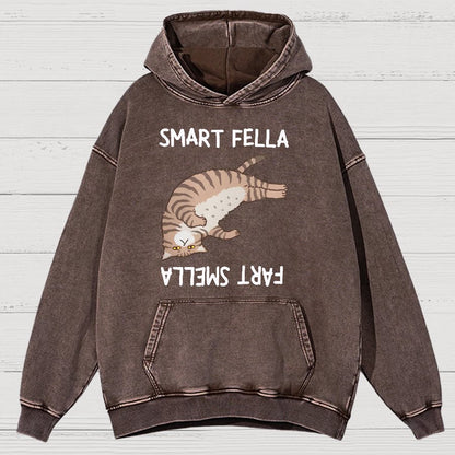 Smart Fella Fart Smella  Funny Cat Pun Vintage Distressed Hoodie