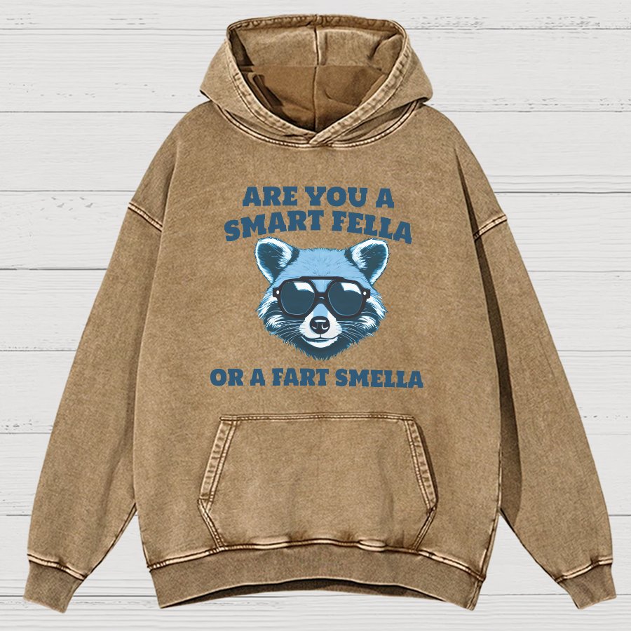 Are You A Smart Fella Or Fart Smella Vintage Distressed Hoodie