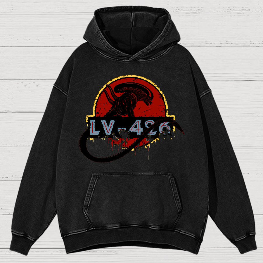 Unknown-426 Vintage Distressed Hoodie