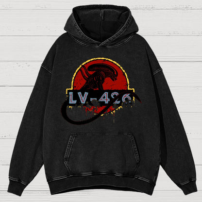 Unknown-426 Vintage Distressed Hoodie