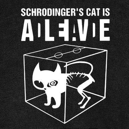 Schrodinger's Cat Vintage Distressed Hoodie