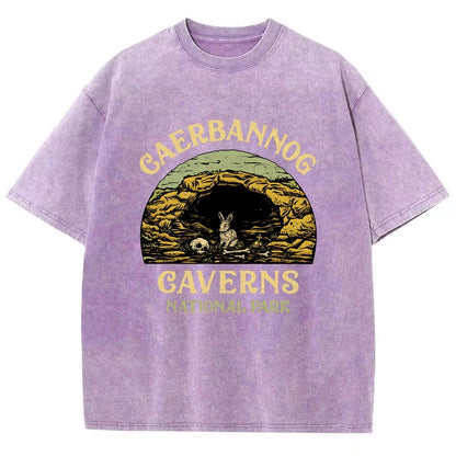 Mystic Caverns National Park Vintage Distressed T-shirt