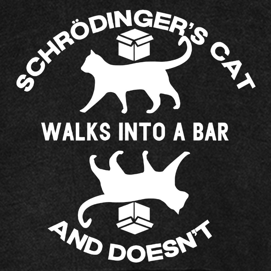 Schrödinger's Cat Vintage Distressed Hoodie