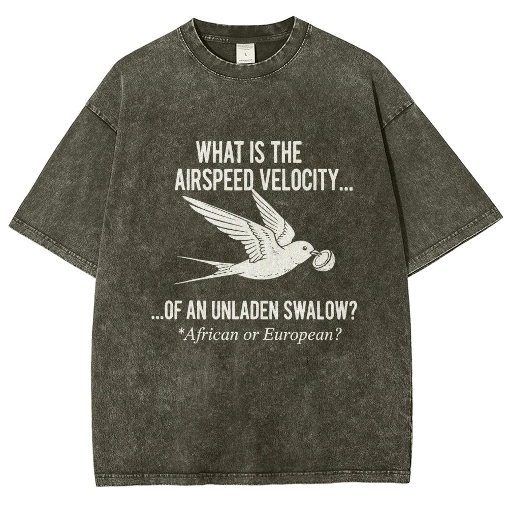 What Is The Airspeed Velocity...Art Print Vintage Distressed T-shirt