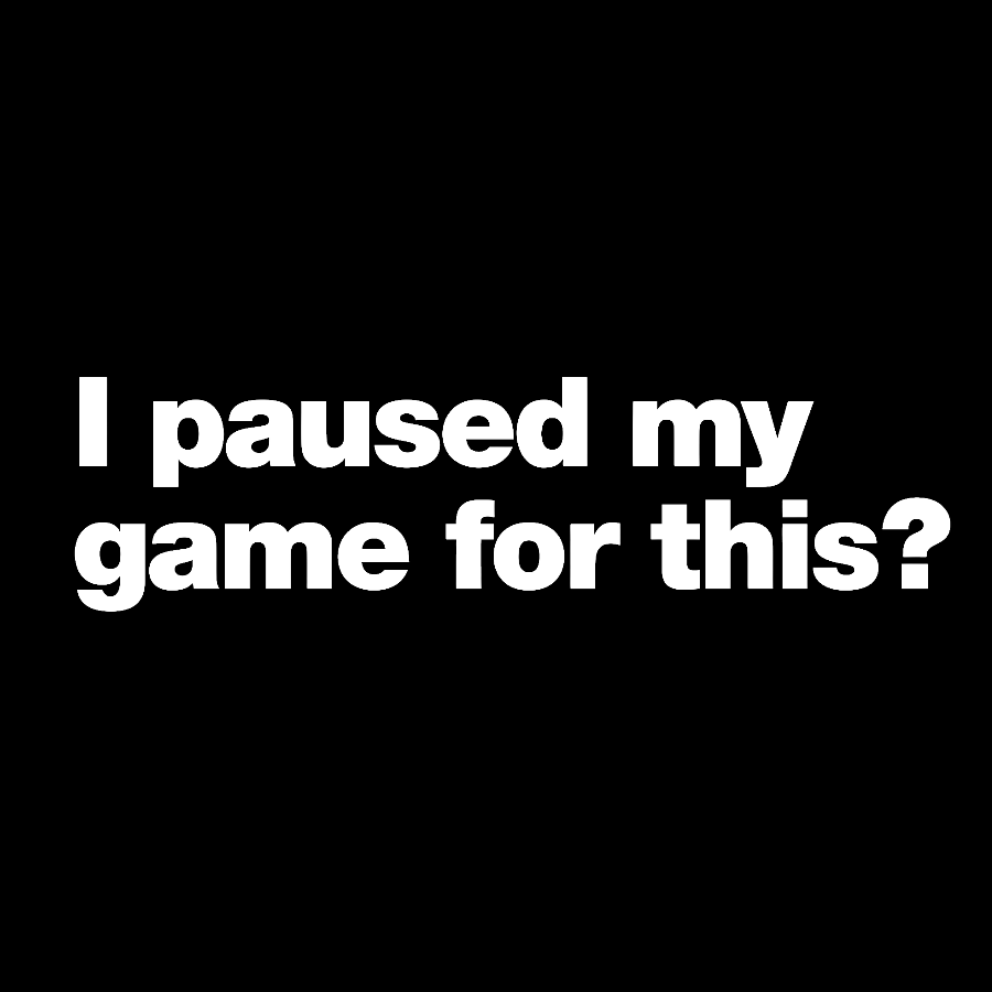 I Paused My Game For This?Geek T-Shirt