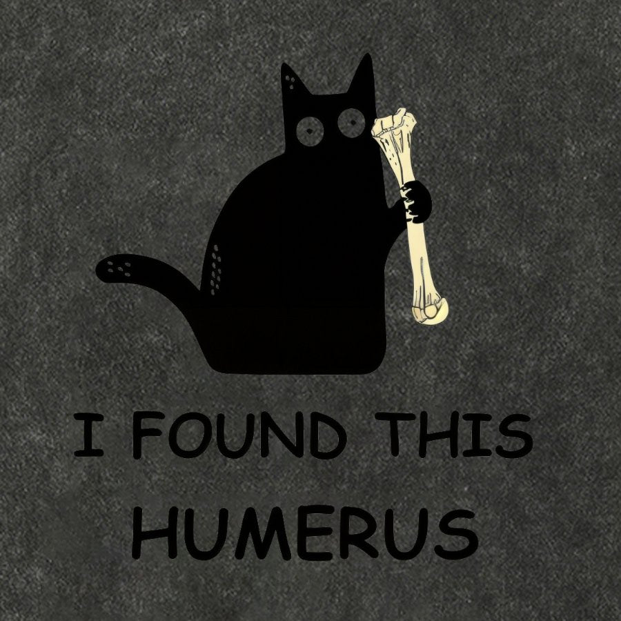 I Found This Humerus Vintage Distressed T-shirt