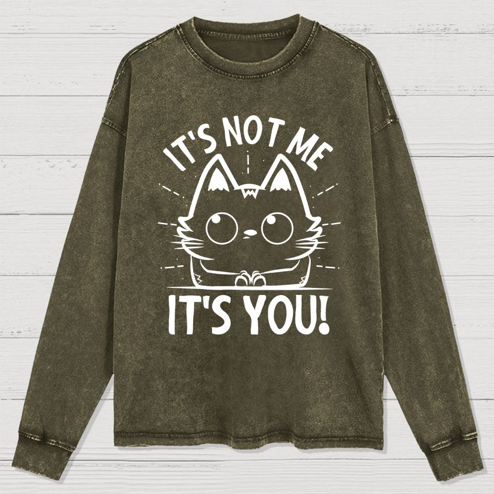 It's Not me It's You Washed Long Sleeve Tee