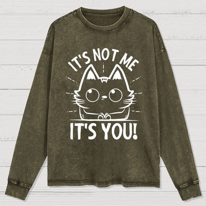 It's Not me It's You Washed Long Sleeve Tee