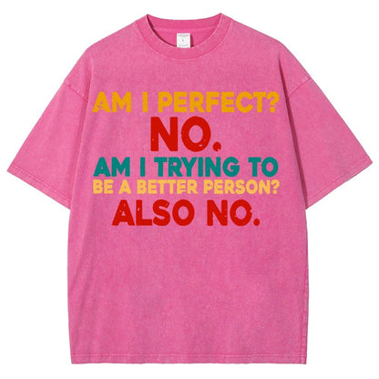 Am I Perfect No Am I Trying To Be A Better Person Also No Funny Quote Vintage Distressed T-shirt