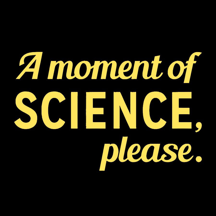 A Moment of Science, Please Geek T-Shirt