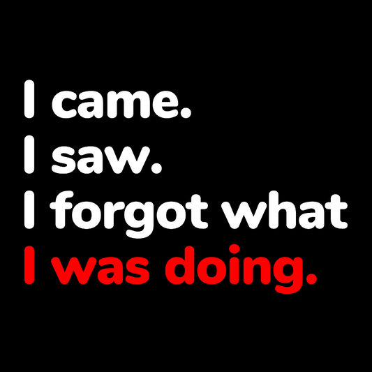 I Came. I Saw. I Forgot What I Was Doing Geek Cotton Sweatshirt