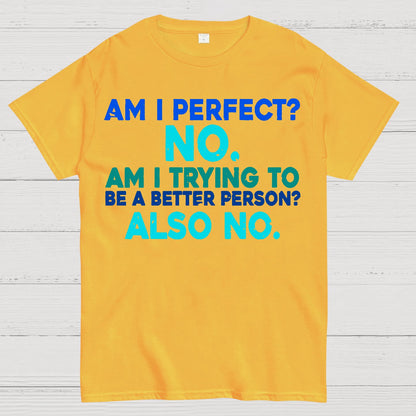 Am I Perfect No Am I Trying To Be A Better Person Also No Funny Quote Geek T-Shirt